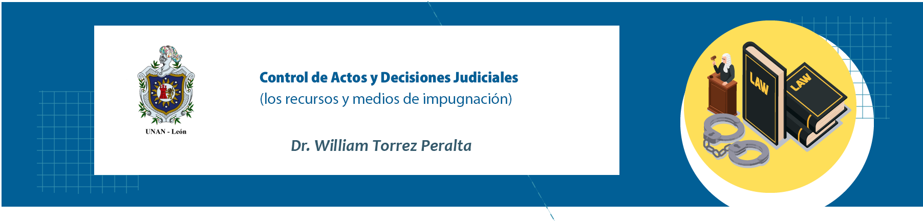 Control de actos y decisiones judiciales (Los recursos o medios de impugnación)