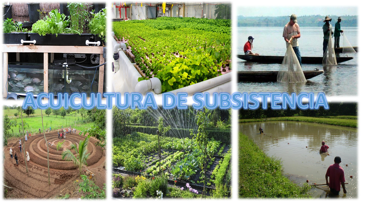 Electiva 5:Acuicultura de subsistencia 2022