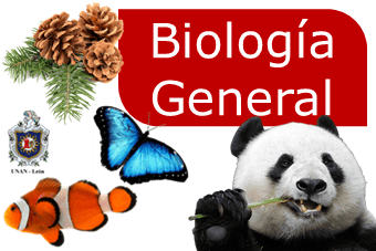 Biologia General G31
