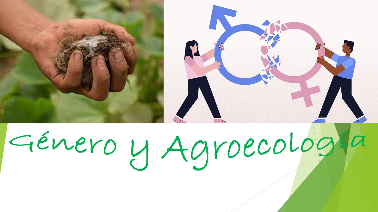 Electiva X: Genero y Agroecología