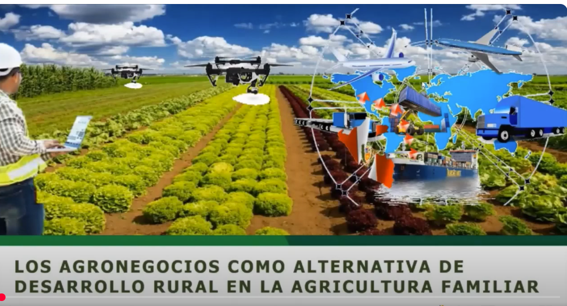 Agronegocios y Desarrollo Rural