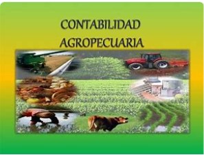 CONTABILIDAD DE EMPRESAS AGROPECUARIAS