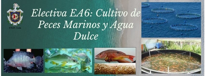 ELECTIVA EA 6: CULTIVO DE PECES MARINOS Y AGUA DULCE